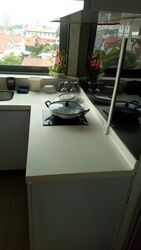 WOLSKEL ROAD (D13), Terrace #502511091